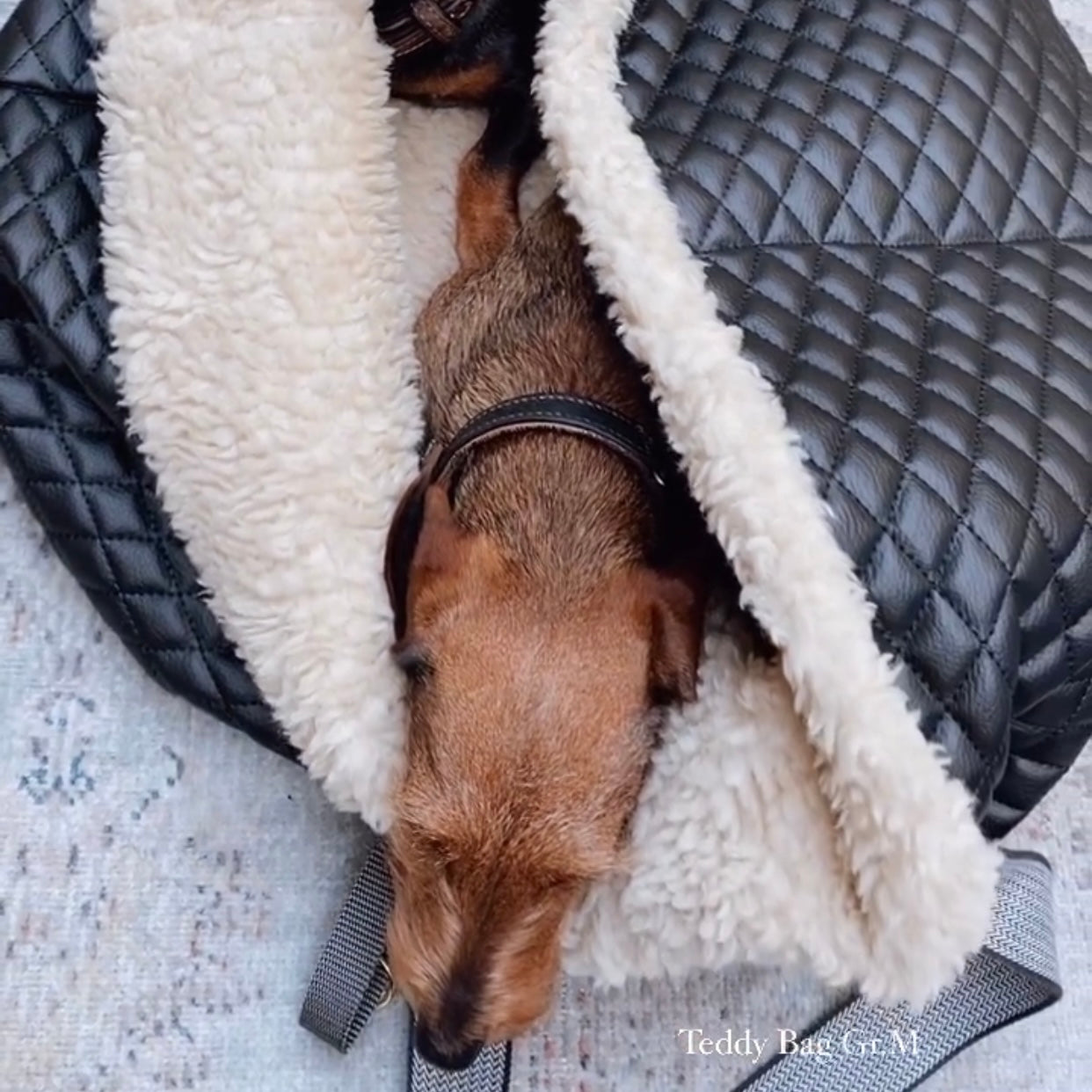 Teddy Dog Bag - Reisebettchen - Kunstleder - Schwarz