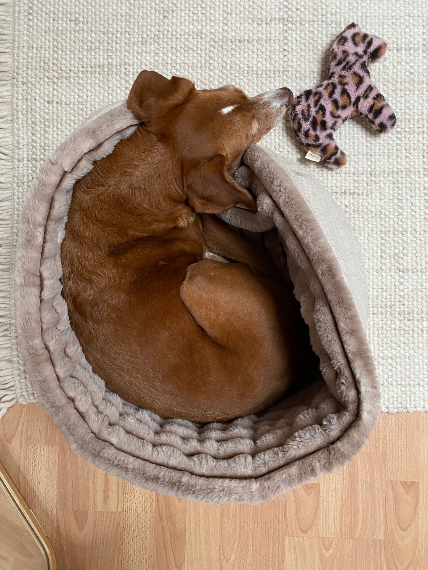 Kuschelnest Hundebett