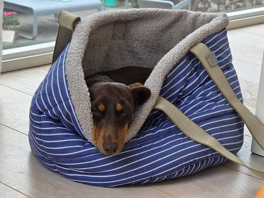 Dog Bag Blaugestreift