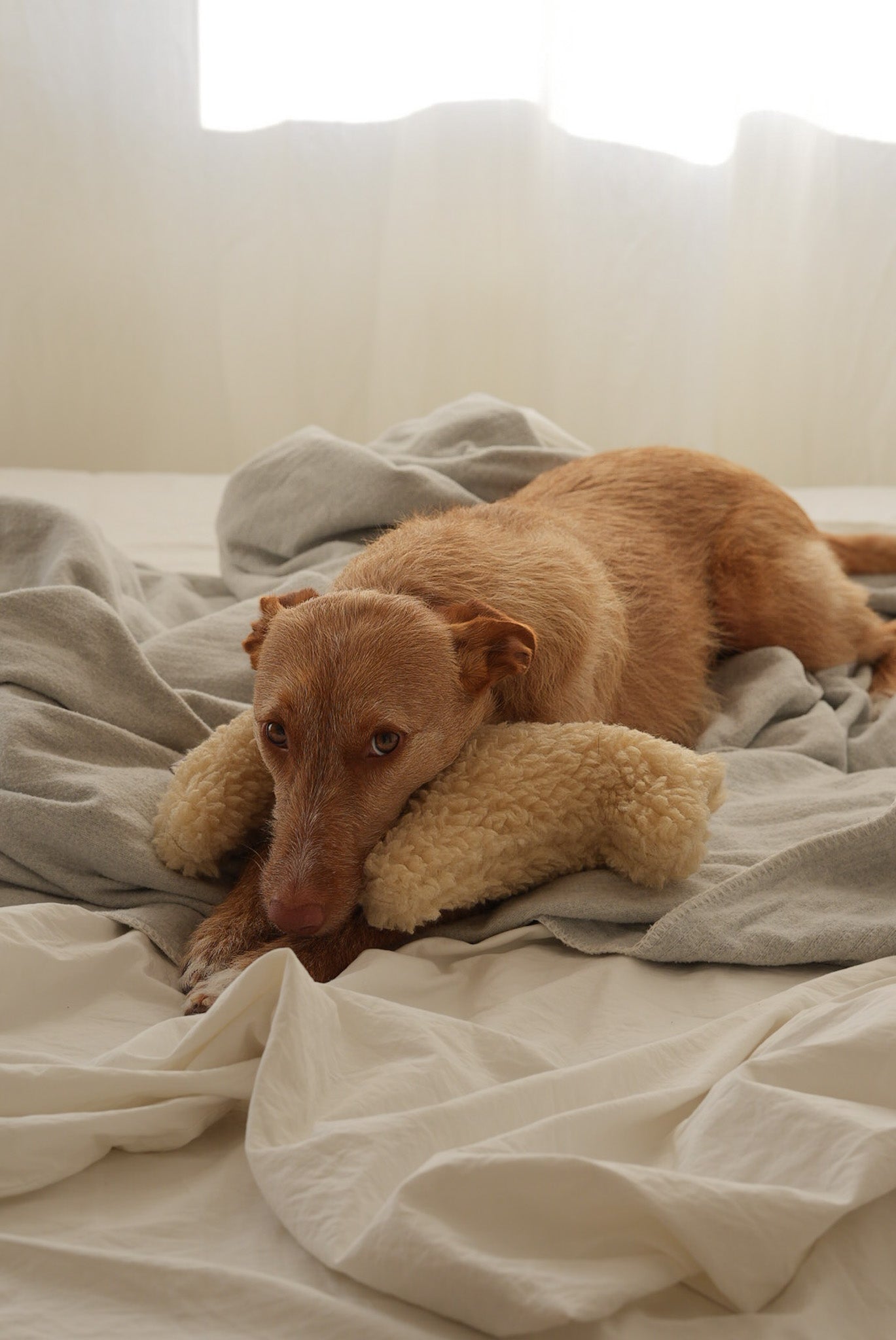 Dala Kuschelpferd