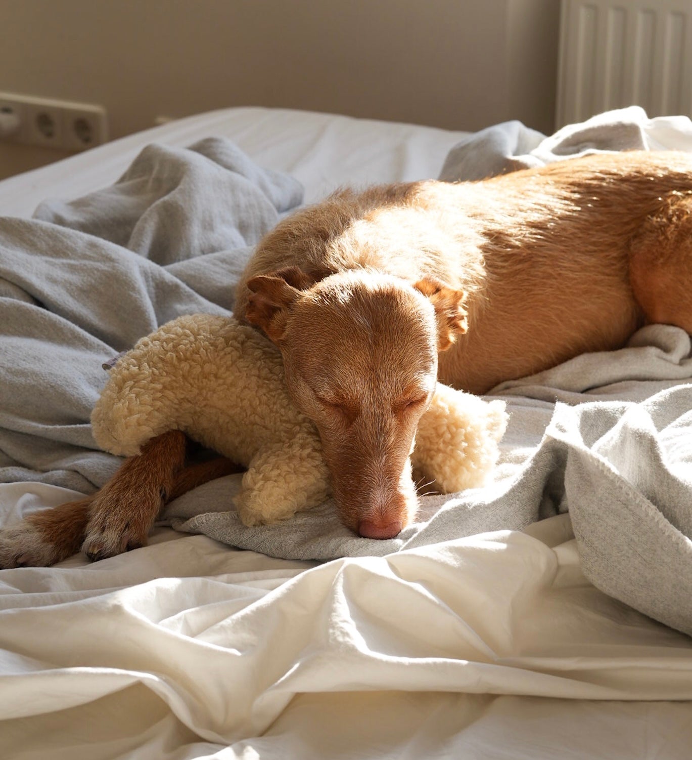 Dala Kuschelpferd