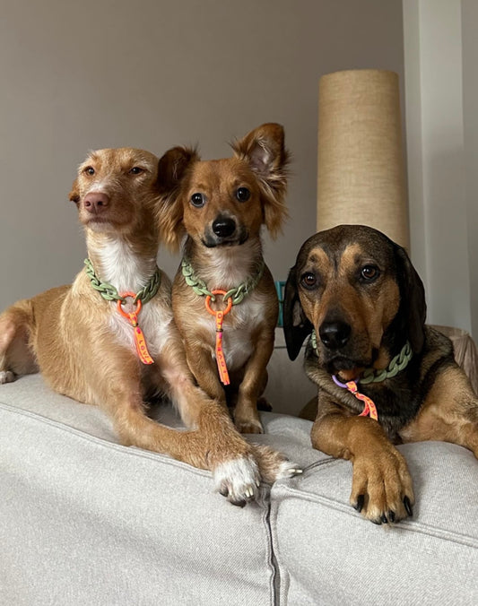 Candy Chain Schmuckkette