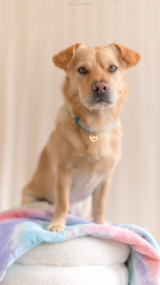 EM Keramik Kette - Blau