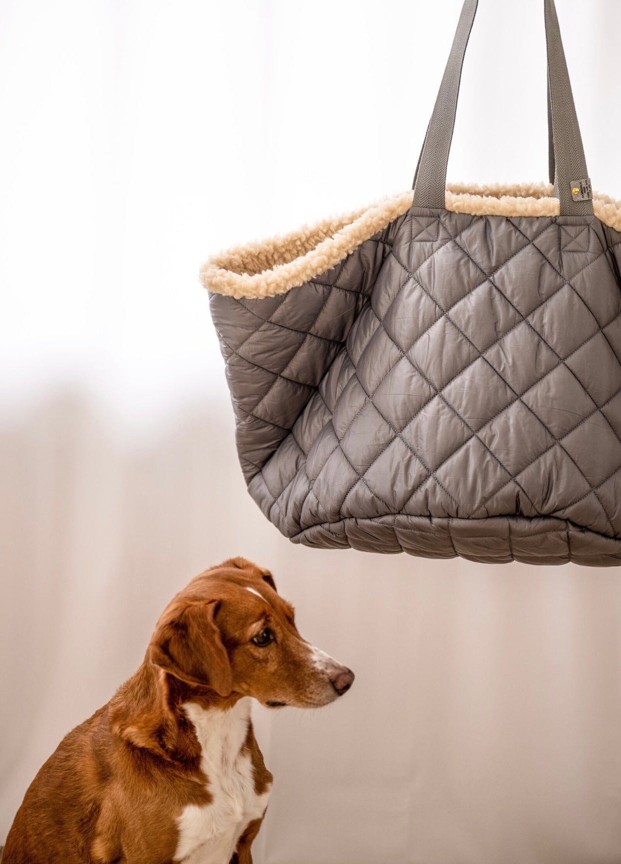 Teddy Dog Bag - Reisebettchen - Hellgrau