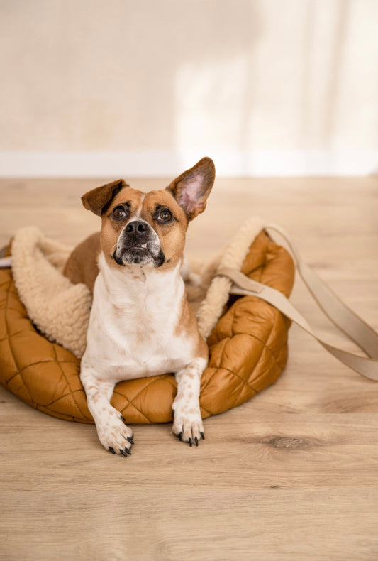 Teddy Dog Bag - Reisebettchen - Cognac