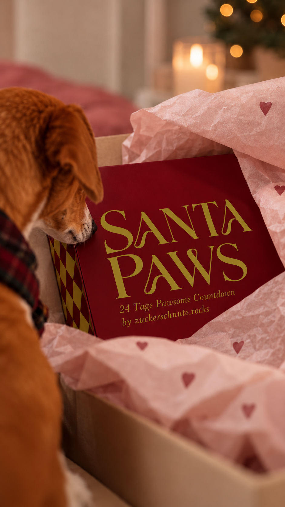 Hunde Adventskalender