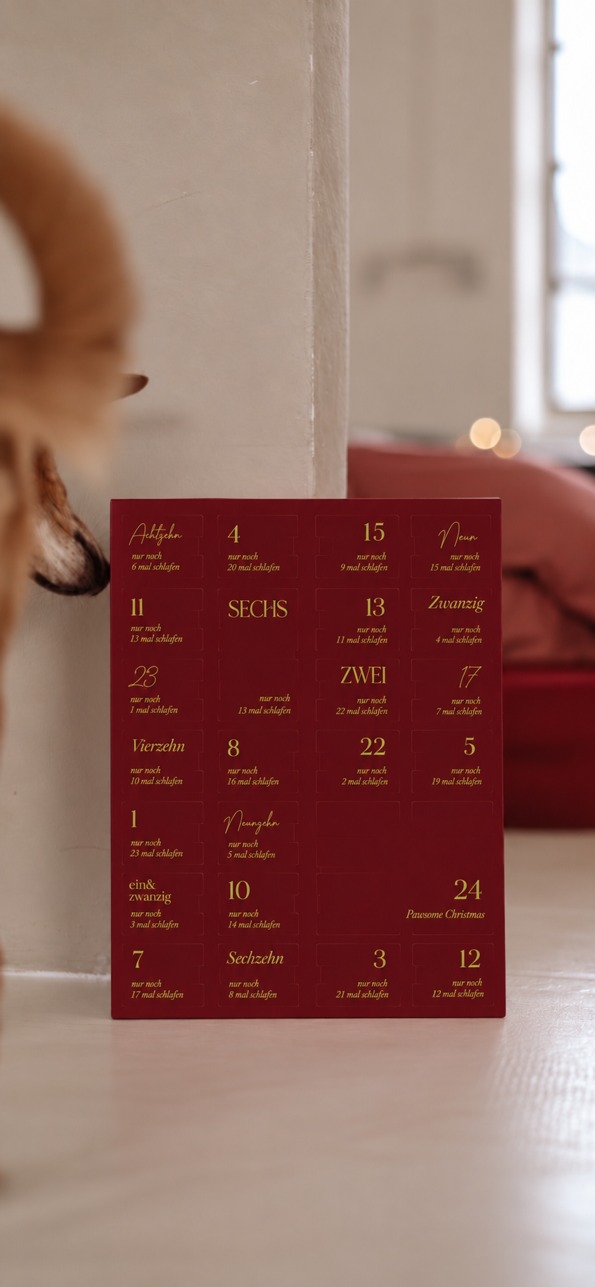 Hunde Adventskalender