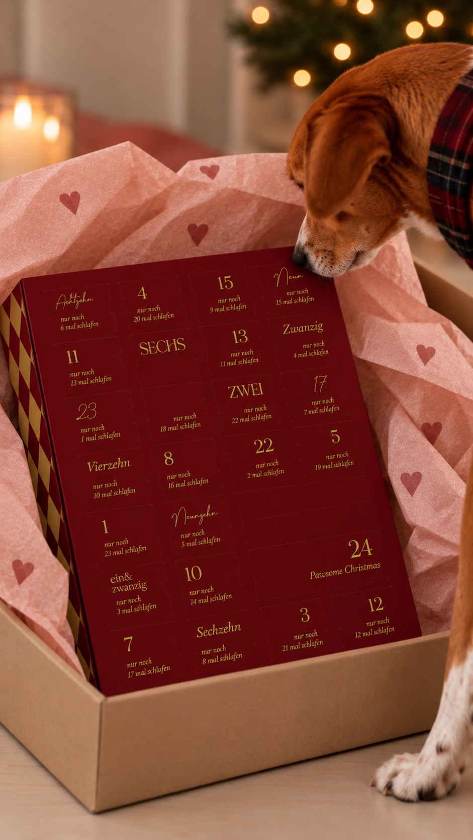 Hunde Adventskalender