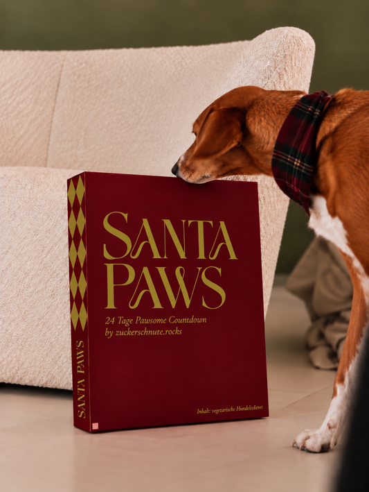 Hunde Adventskalender