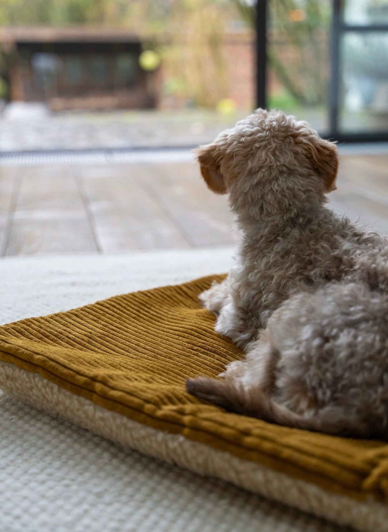 Teddy Cord Decke wattiert