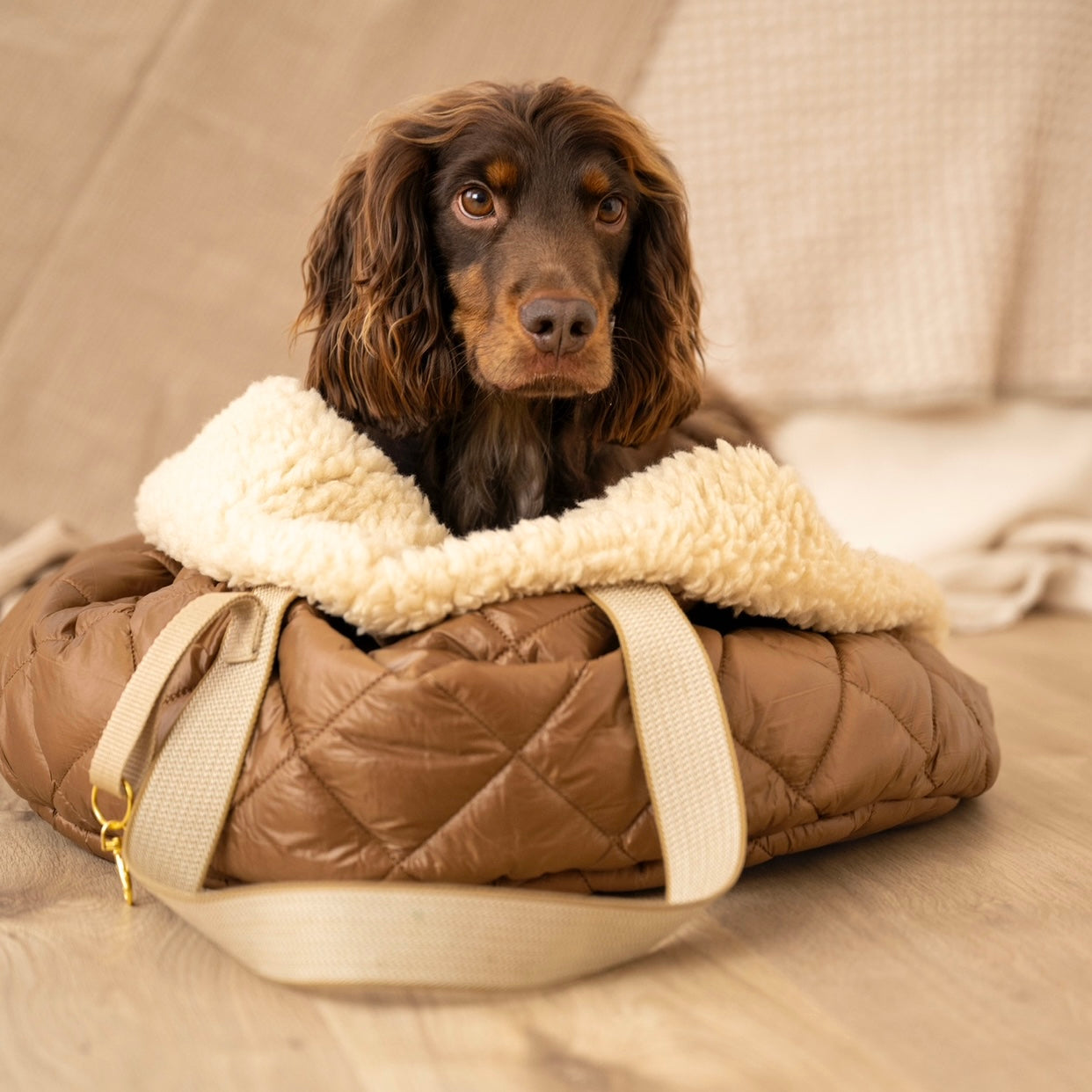 Teddy Dog Bag - Reisebettchen - Walnuss Braun