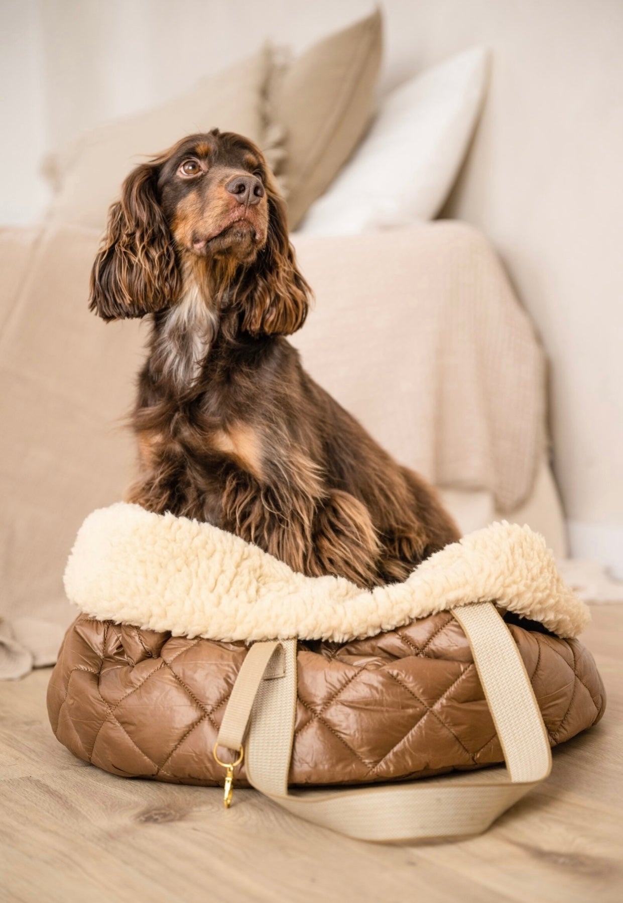 Teddy Dog Bag - Reisebettchen - Walnuss Braun