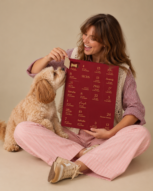 Hunde Adventskalender