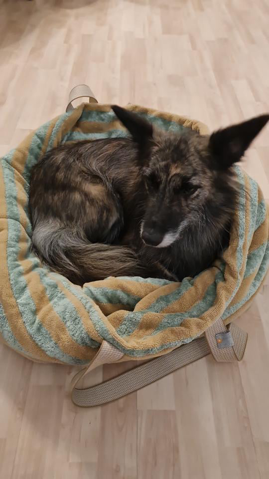 Frottee Dog Bag Salbei