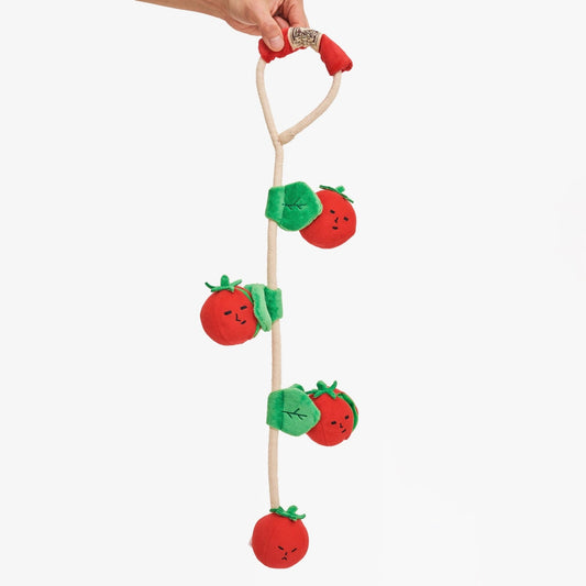 Cherry Tomate Schnüffelspielzeug